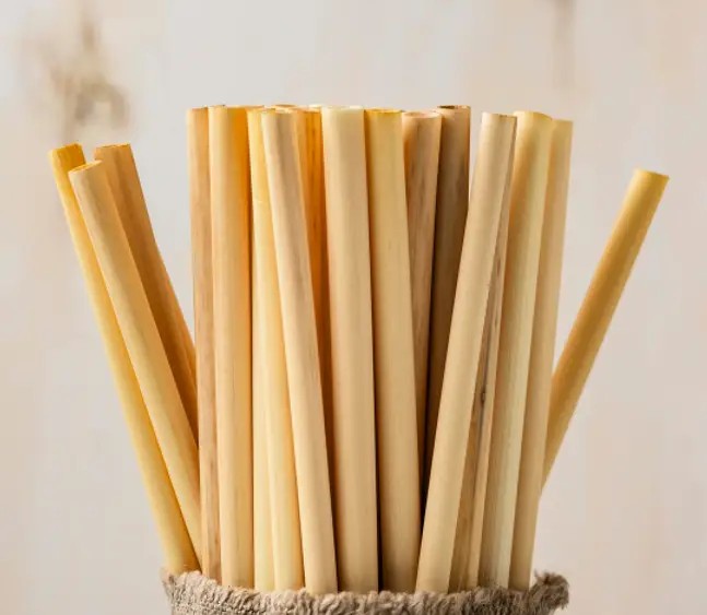 Sedotan Ramah Lingkungan Rumput Laut (Edible Straw)